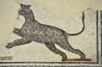 Leopardo Mosaico IIIdc Faenza Partweb