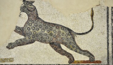 Leopardo Mosaico IIIdc Faenza Partweb