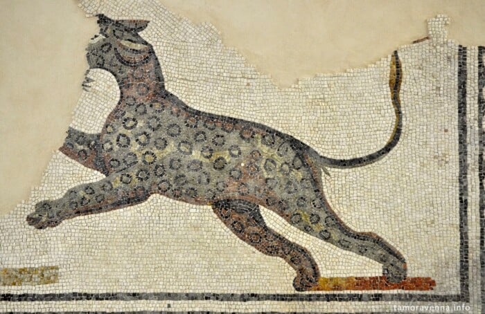 Leopardo Mosaico IIIdc Faenza Partweb