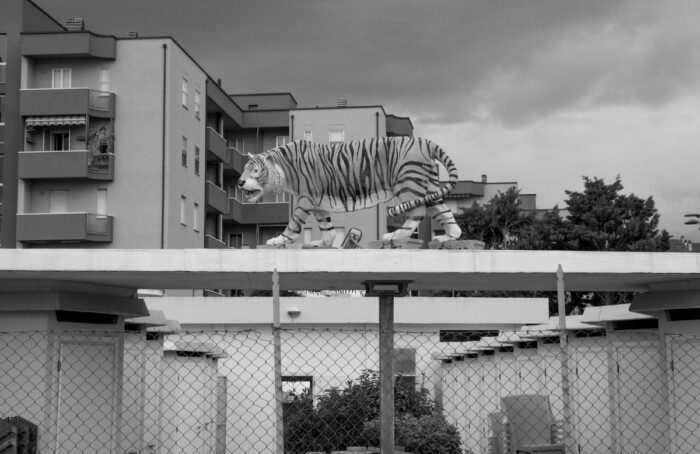 30042014 IMG 6931