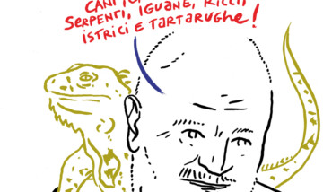 Lucci Costantini