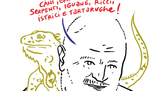 Lucci Costantini