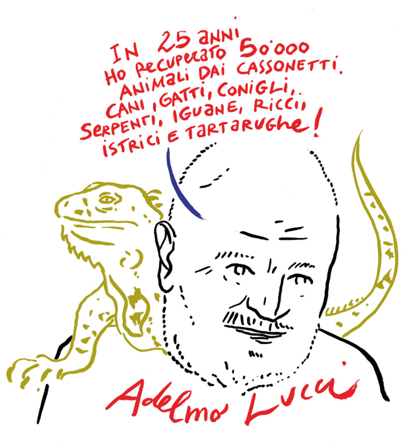 Lucci Costantini