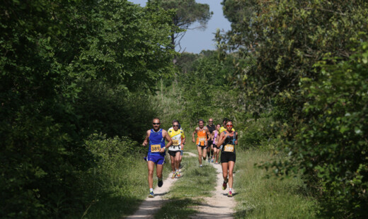 Trail Ra Mima