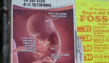 Pro Life