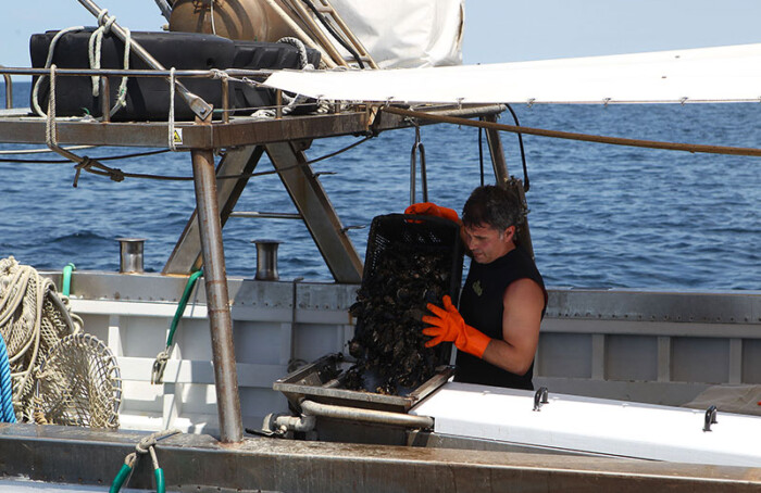 Cozze4