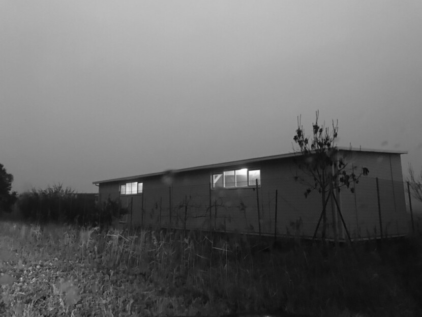 IMG 3395