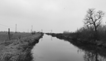 Cervia