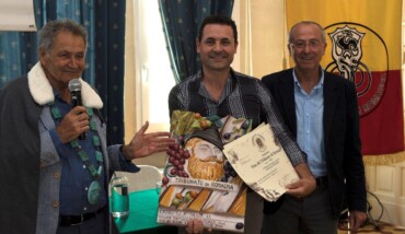 Il tribunato di Romagna