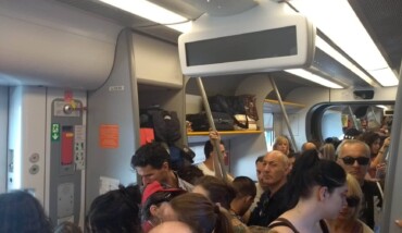 Sardine Treno
