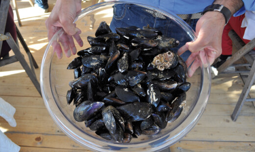 Cozze 1