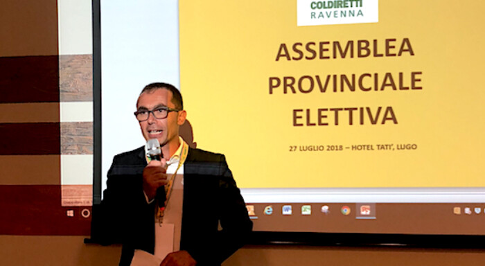 Dalmonteelezione