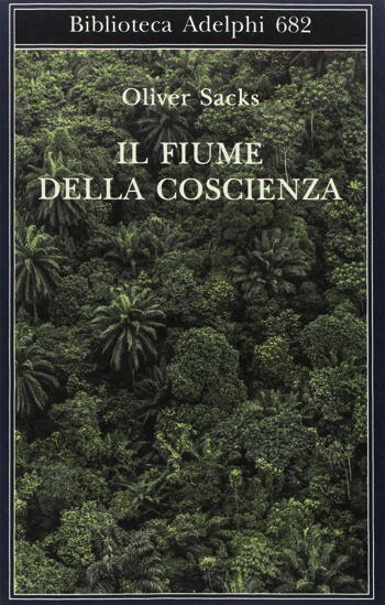 Fiume Della Coscienza