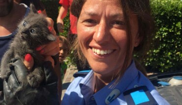 18 08 16 Salvataggio Gattino2 (1)