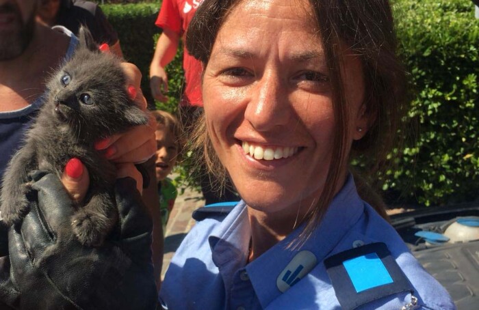 18 08 16 Salvataggio Gattino2 (1)