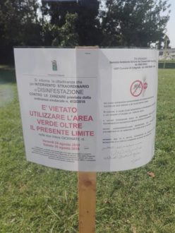 40012776 10215048740885107 3890909945457016832 N