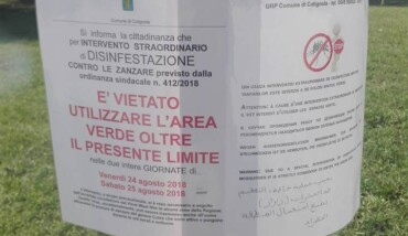 40012776 10215048740885107 3890909945457016832 N