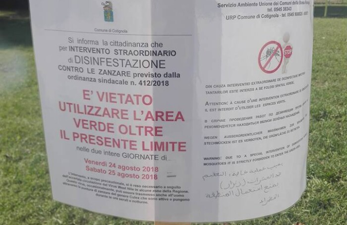 40012776 10215048740885107 3890909945457016832 N