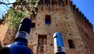 Calici Sotto La Torre
