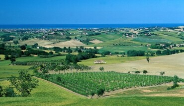Campagnaromagnola