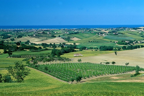 Campagnaromagnola