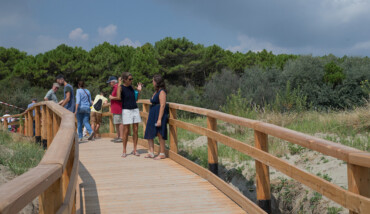 RAVENNA 09/08/2018. CASALBORSETTI, Inaugurate Le Passerelle Di Legno Sulle Dune