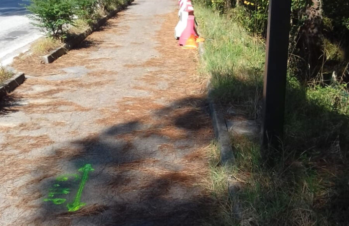 18 10 05 Foto Pista Ciclabile Marina Romea