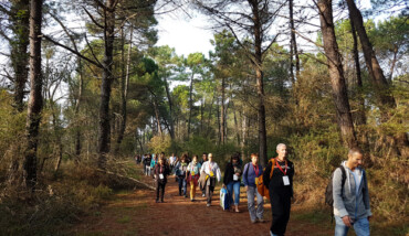 Trekking Pineta
