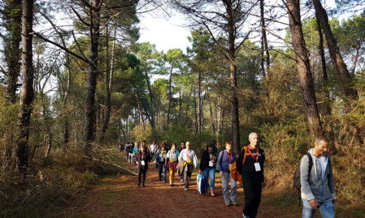 Trekking Pineta