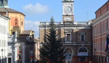 Albero Piazza