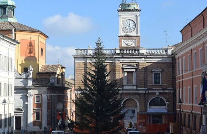 Albero Piazza