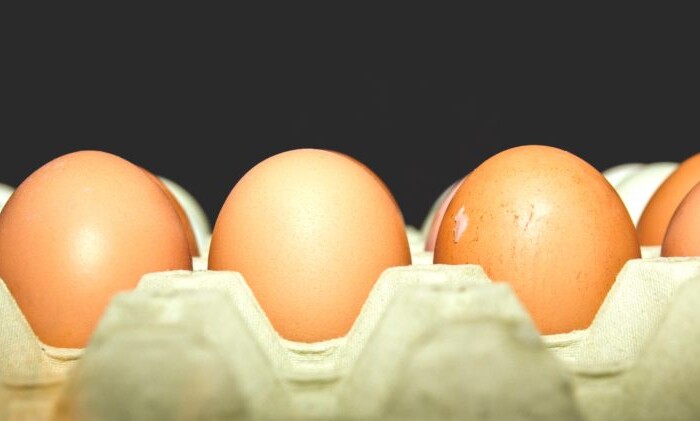 Eggs Food Tray 85080