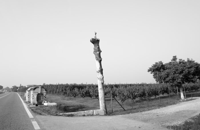 Nessuna osservazione