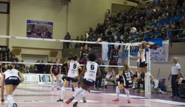 ALF 7614 (Large)