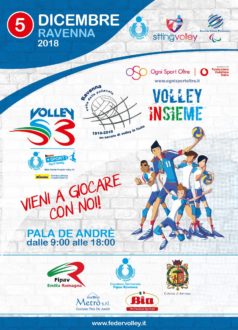 Locandina Volley Insieme