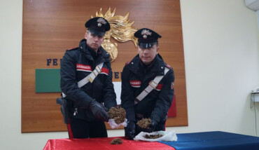 Marijuana Faenza