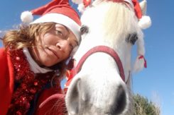 Natale Pony Ravenna