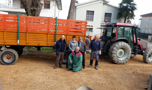 2019 Lavori Giardino