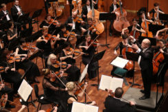 Miskolc Symphony Orchestra