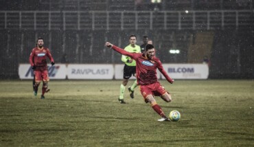 Galuppini Triestina