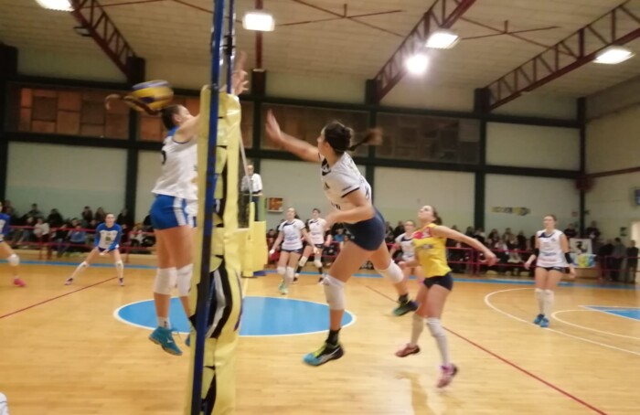 Liverani Castellari 19.1.2019