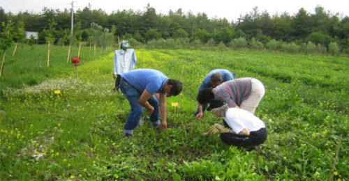 Agroalimentare, crisi Covid-19: la Regione prepara le misure di aiuto per le aziende
