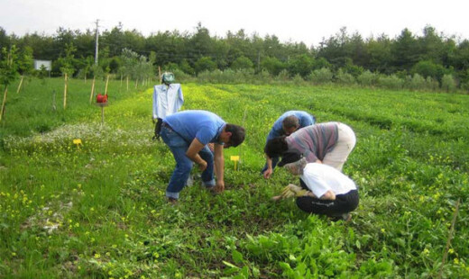 Lavoratori Agricoli