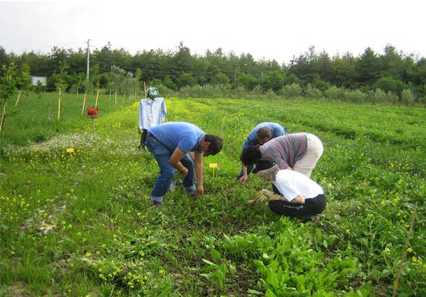 Lavoratori Agricoli