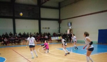 Liverani Castellari 24.2.2019