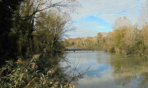 Pienta Canale Fossatone