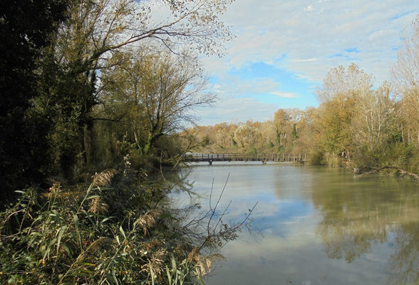 Pienta Canale Fossatone