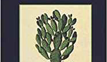 Savatteri