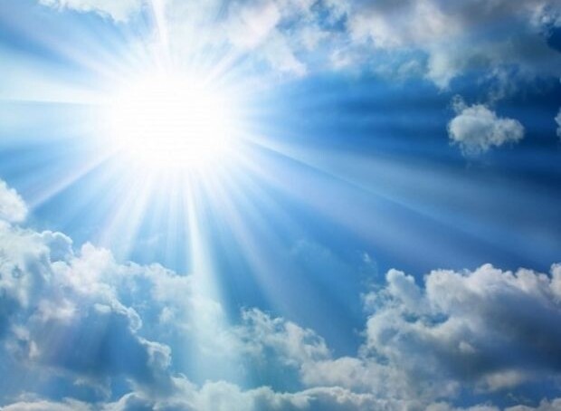 Sole