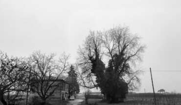 Banale Brutale